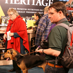 A busy time at Crufts