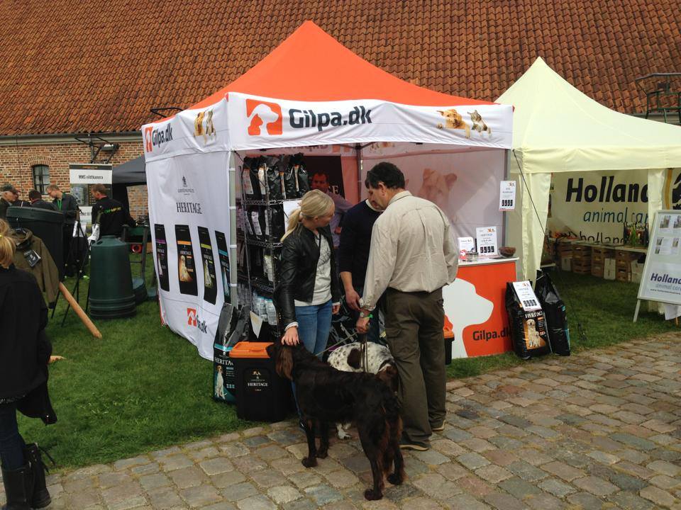 Danish Game Fair