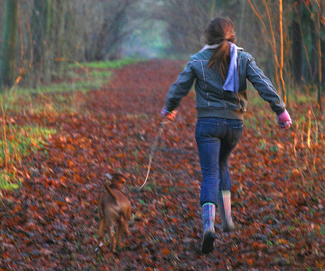 Exercising Dog