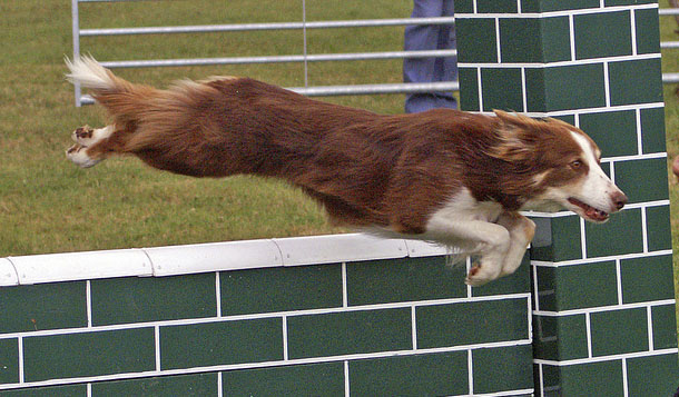 agility class 2