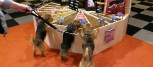 breakfast at crufts