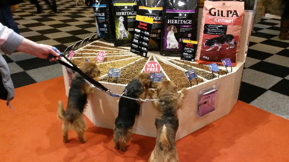 breakfast at crufts