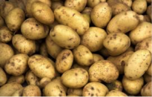 potatoes