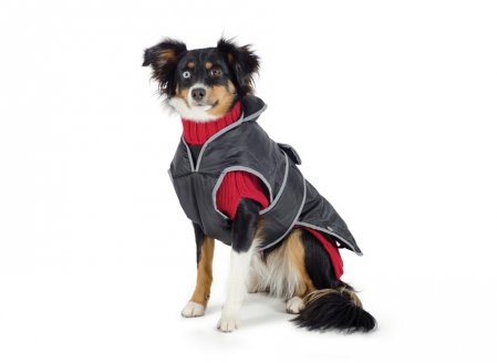 Muddy Paws Dog Jackets