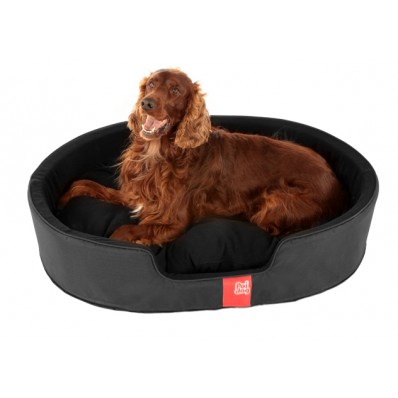 Large Poi Dog Bed