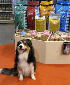 Collie on the Gilbertson & Page Stand