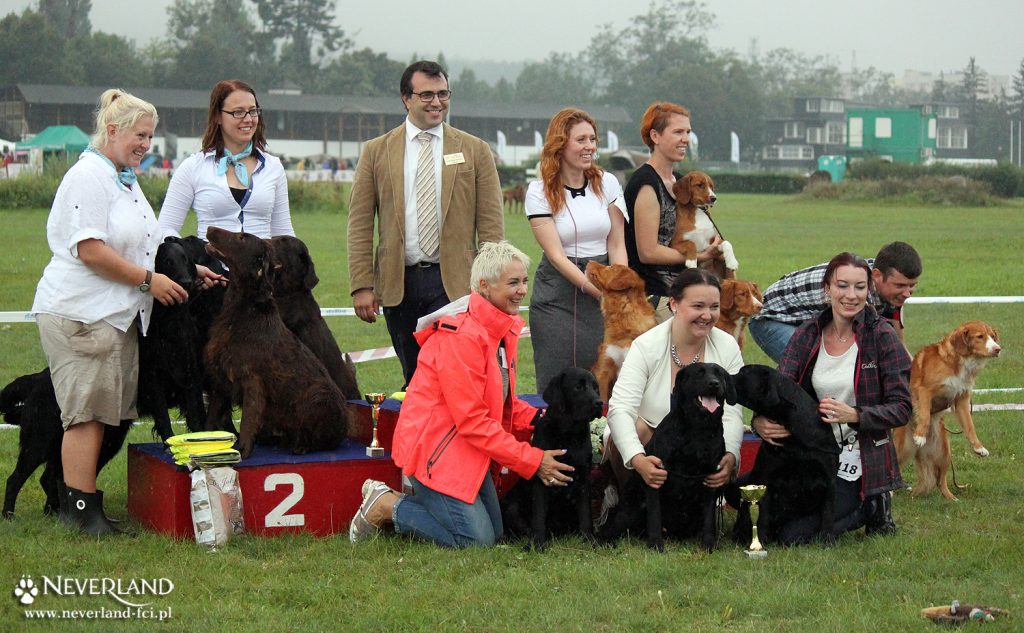 FCI Group 8 Final at Sopot Dog Show