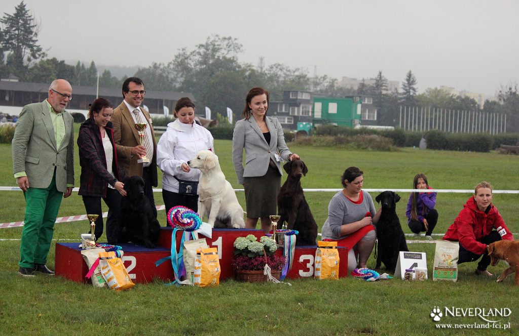 Retriever Junior Class - Sopot Poland