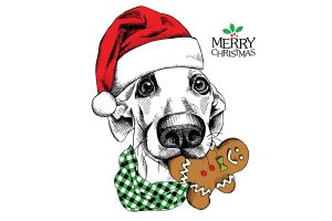 christmas doggie image