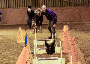 Training Run at Teesdale Flyball Club