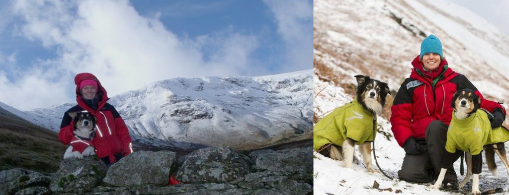 search and rescue dogs teesdale